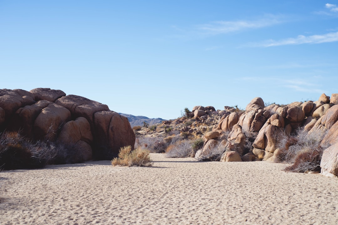 The Eco-Traveler’s Guide: Sustainable Adventures for the Conscious Explorer